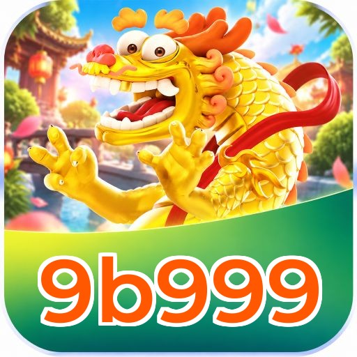9b999 Installation Guide