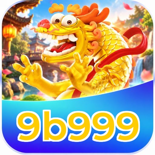 9b999 Registration Guide